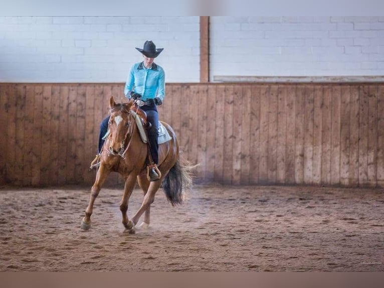 Berittplatz Westernreiten 