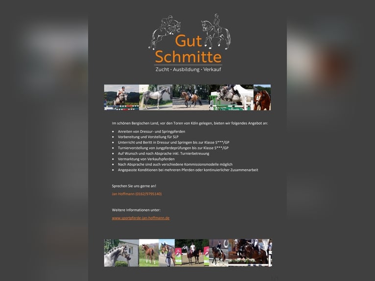 Breaking-in / Riding / Training / Marketing