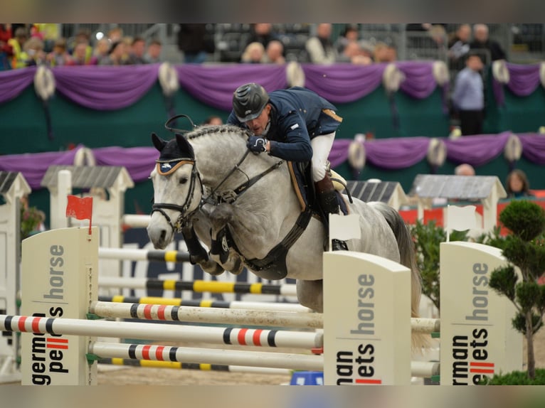 Customized high-quality show jumping training