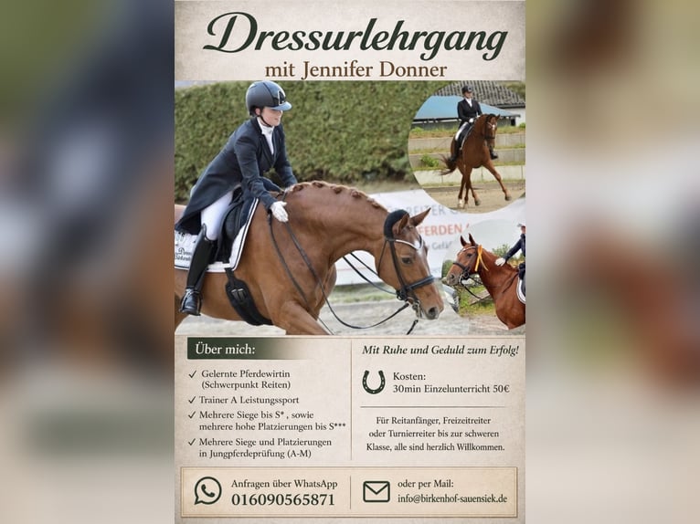 Dressage training up to S*** level