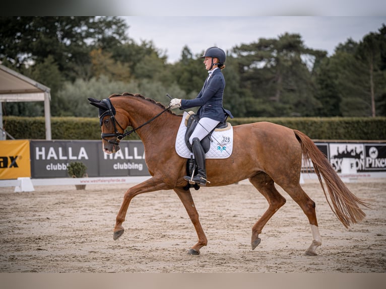 Fully ridden with heart