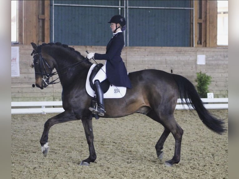 Fully ridden with heart