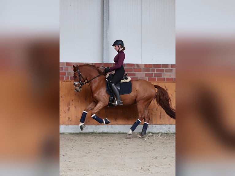 Fully ridden with heart