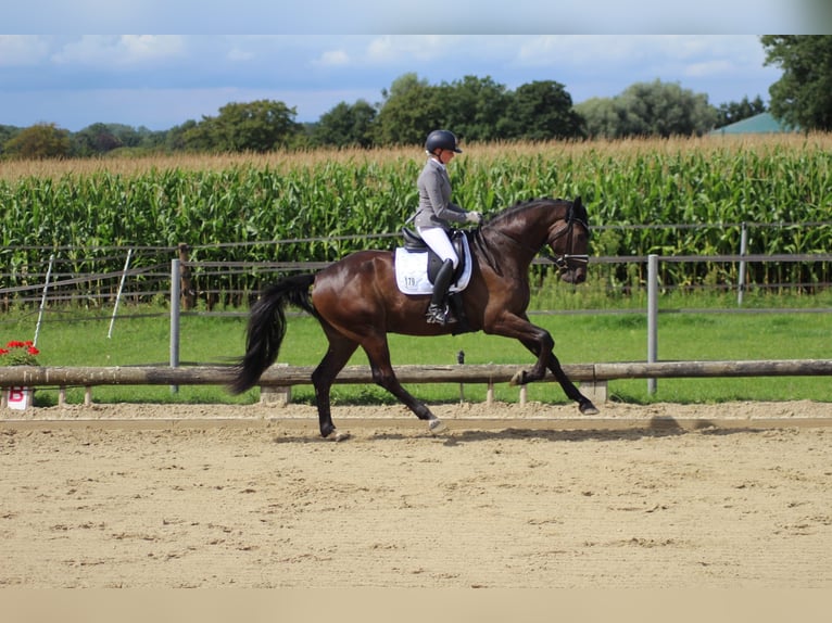 Fully ridden with heart