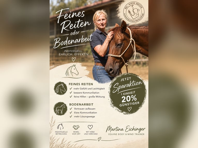 MKA Horsemanship Academy / Master Horse Trainer