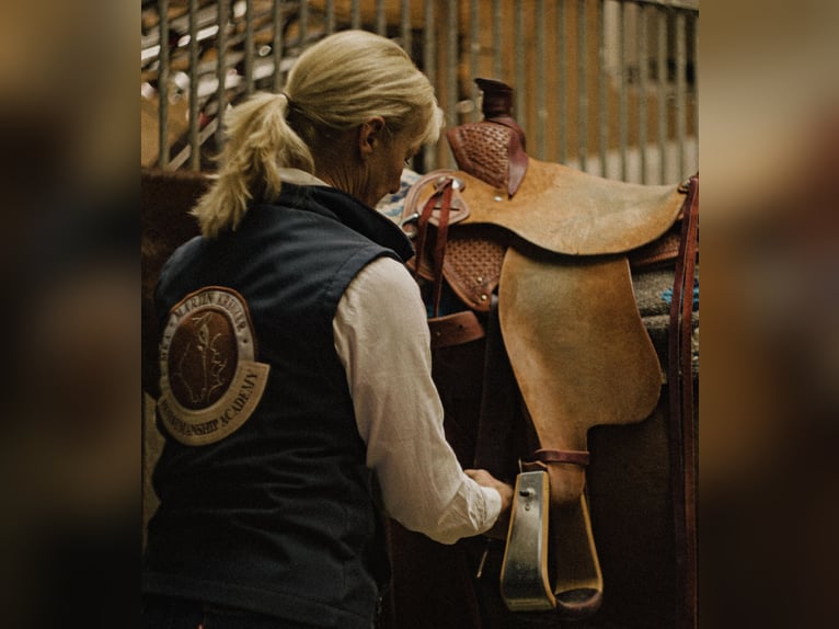 MKA Horsemanship Academy / Master Horse Trainer
