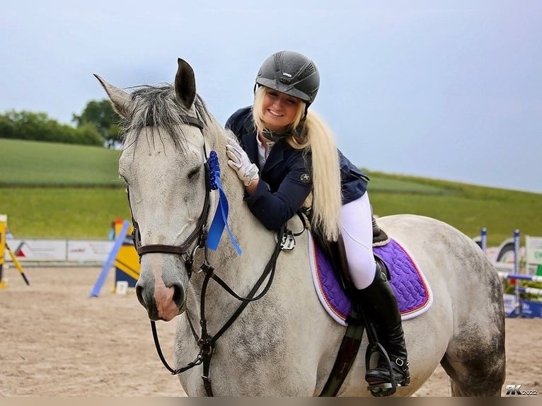Pony training, schooling, and light rider (49 kg)