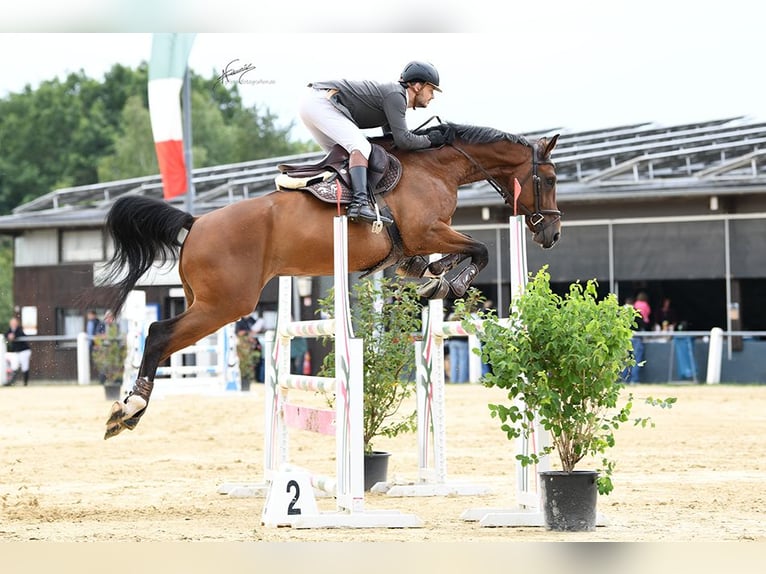 Training and riding arenas available