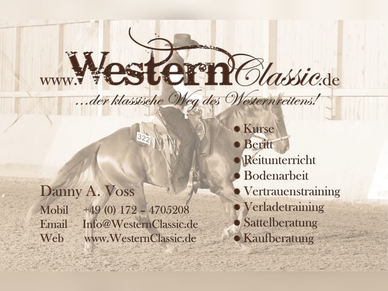 Training and riding lessons in the classical old Californian riding style Western riding