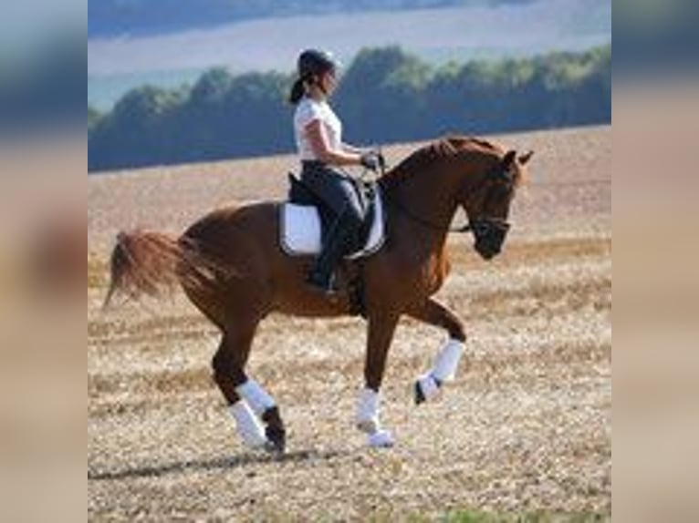 Training position in a family-oriented environment