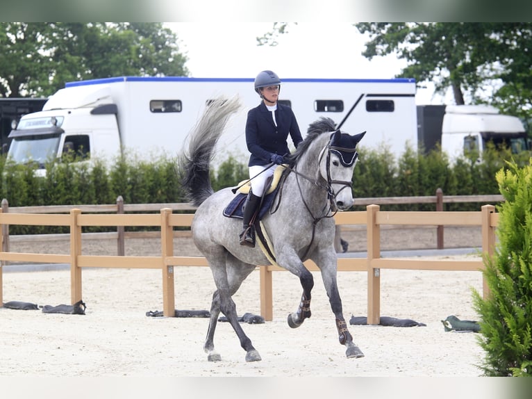 ⚜️ Training spots available ⚜️