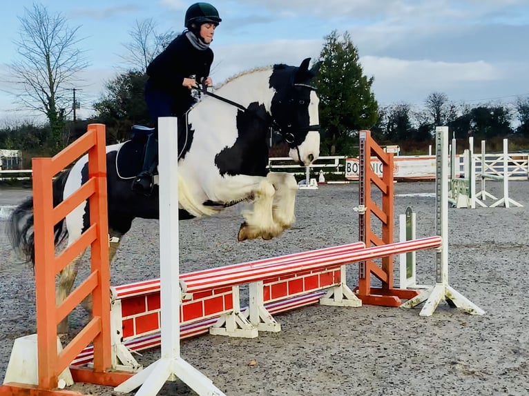 Cob Giumenta 12 Anni 148 cm Pezzato in Mountrath