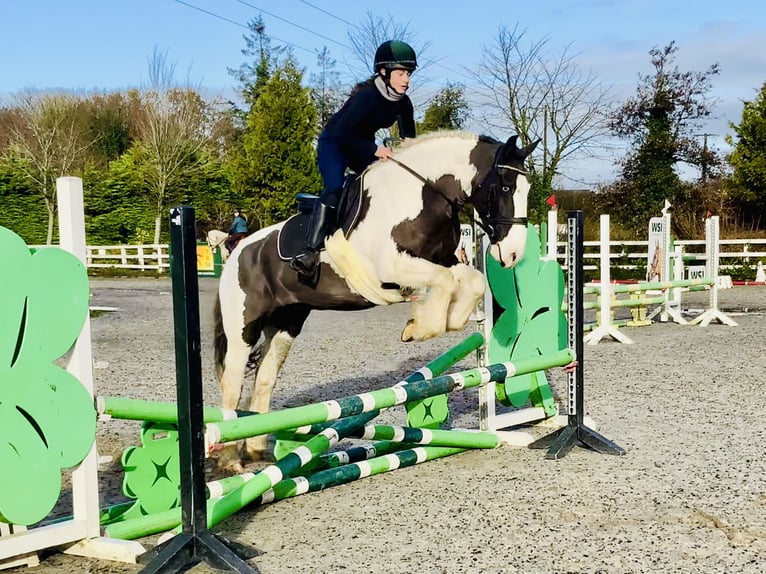 Cob Giumenta 12 Anni 148 cm Pezzato in Mountrath