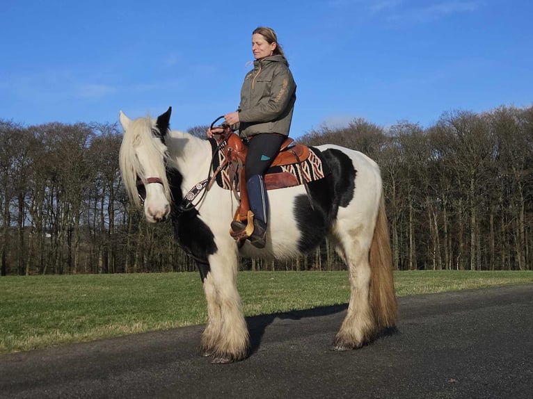 Cob Irlandese / Tinker / Gypsy Vanner Giumenta 11 Anni 154 cm Pezzato in Linkenbach