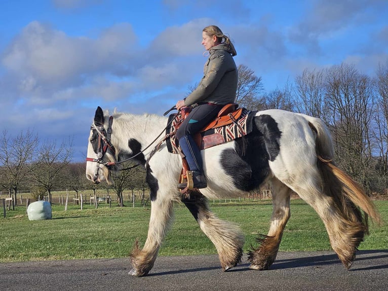 Cob Irlandese / Tinker / Gypsy Vanner Giumenta 11 Anni 154 cm Pezzato in Linkenbach