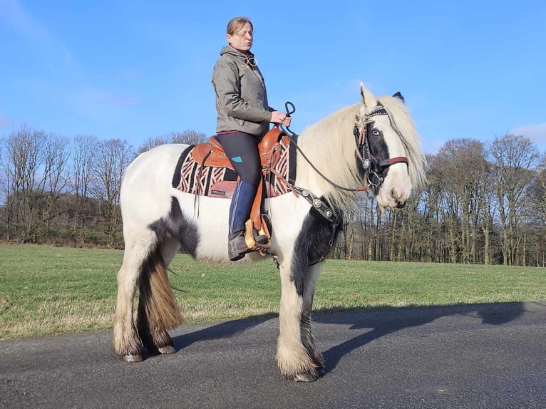 Cob Irlandese / Tinker / Gypsy Vanner Giumenta 11 Anni 154 cm Pezzato in Linkenbach