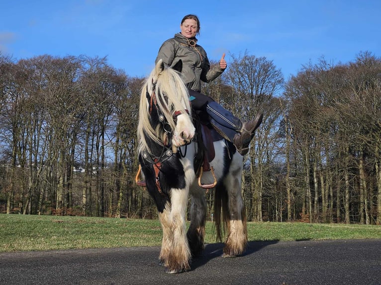 Cob Irlandese / Tinker / Gypsy Vanner Giumenta 11 Anni 154 cm Pezzato in Linkenbach