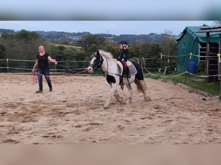 Cob Irlandese / Tinker / Gypsy Vanner Giumenta 4 Anni 125 cm Pezzato in Morsbach