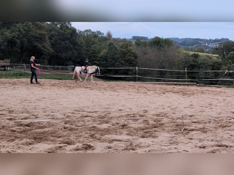 Cob Irlandese / Tinker / Gypsy Vanner Giumenta 4 Anni 125 cm Pezzato in Morsbach