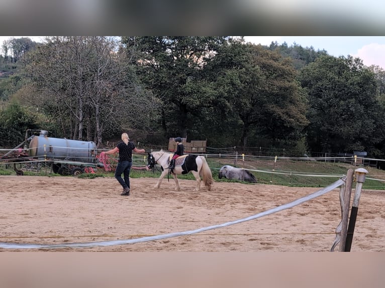 Cob Irlandese / Tinker / Gypsy Vanner Giumenta 4 Anni 125 cm Pezzato in Morsbach