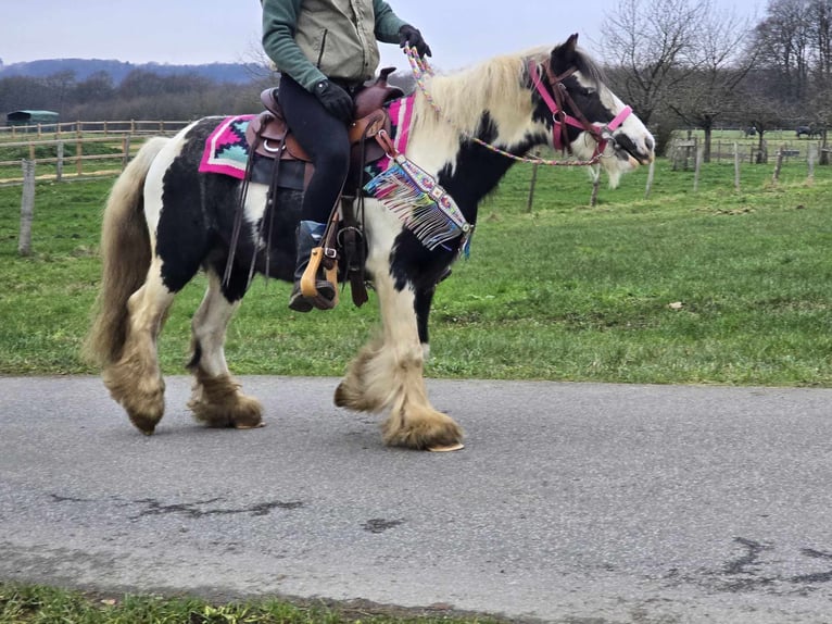 Cob Irlandese / Tinker / Gypsy Vanner Giumenta 6 Anni 130 cm Pezzato in Linkenbach