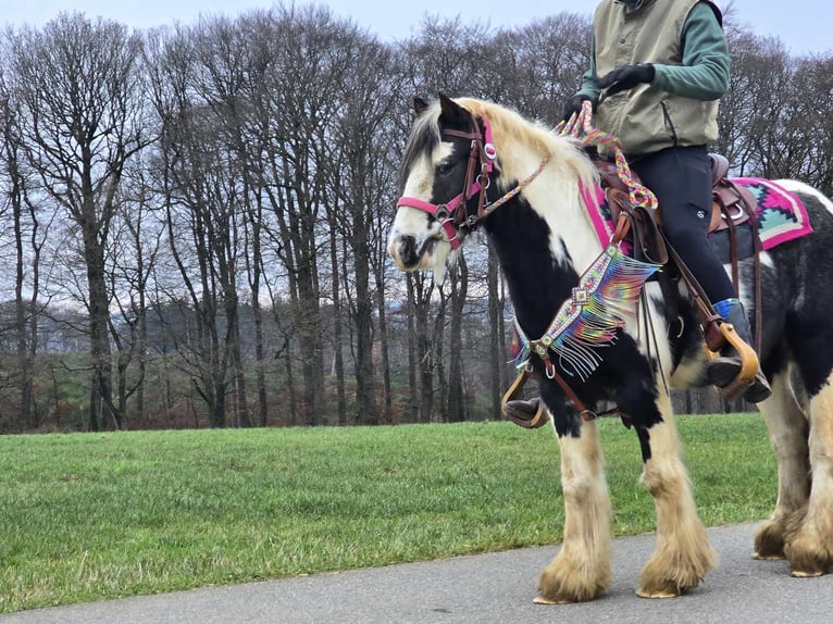 Cob Irlandese / Tinker / Gypsy Vanner Giumenta 6 Anni 130 cm Pezzato in Linkenbach