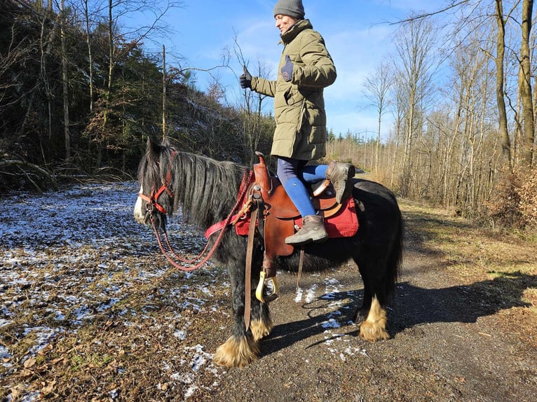 Cob Irlandese / Tinker / Gypsy Vanner Giumenta 7 Anni 128 cm Morello in Linkenbach