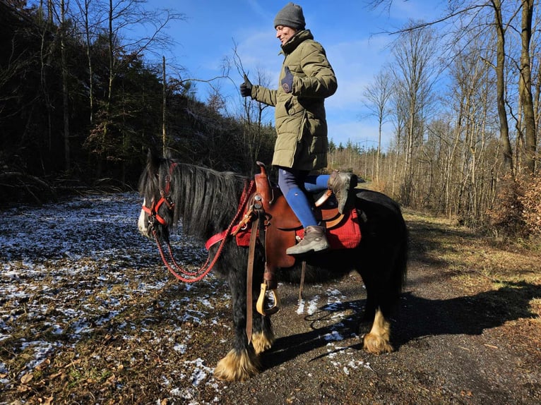 Cob Irlandese / Tinker / Gypsy Vanner Giumenta 7 Anni 128 cm Morello in Linkenbach