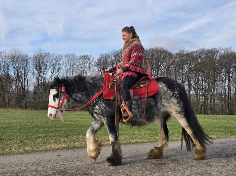 Cob Irlandese / Tinker / Gypsy Vanner Giumenta 8 Anni 137 cm Overo-tutti i colori in Linkenbach