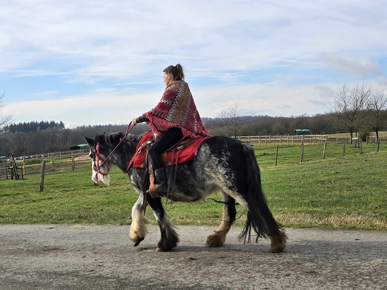 Cob Irlandese / Tinker / Gypsy Vanner Giumenta 8 Anni 137 cm Overo-tutti i colori in Linkenbach