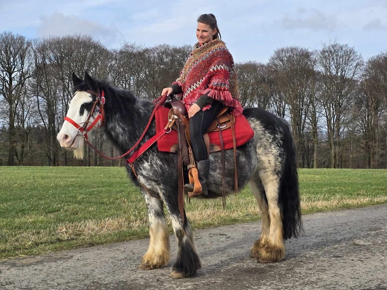 Cob Irlandese / Tinker / Gypsy Vanner Giumenta 8 Anni 137 cm Overo-tutti i colori in Linkenbach