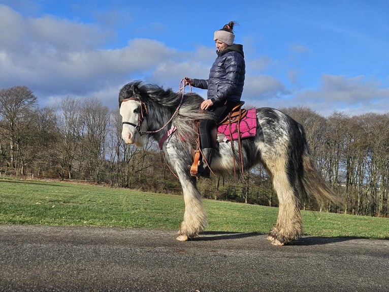 Cob Irlandese / Tinker / Gypsy Vanner Giumenta 8 Anni 139 cm Tovero-tutti i colori in Linkenbach