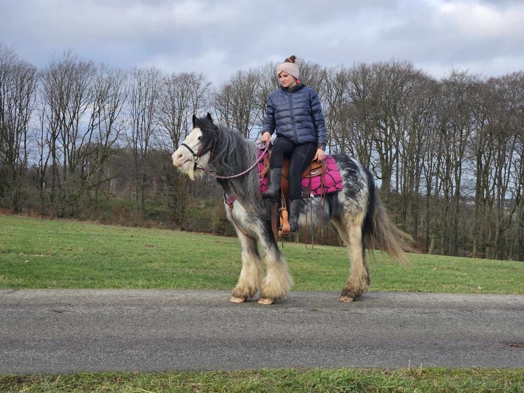 Cob Irlandese / Tinker / Gypsy Vanner Giumenta 8 Anni 139 cm Tovero-tutti i colori in Linkenbach