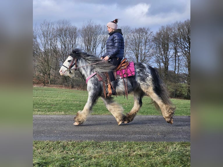 Cob Irlandese / Tinker / Gypsy Vanner Giumenta 8 Anni 139 cm Tovero-tutti i colori in Linkenbach