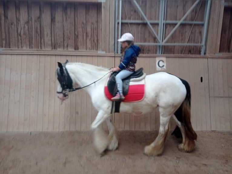 Cob Irlandese / Tinker / Gypsy Vanner Stallone 10 Anni 140 cm Pezzato in Höheischweiler