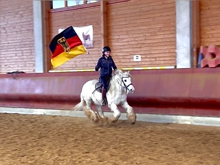 Cob Irlandese / Tinker / Gypsy Vanner Castrone 9 Anni 135 cm Pezzato in Achstetten