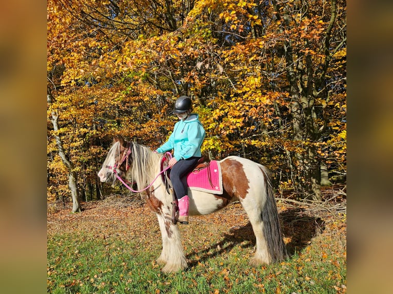 Cob Irlandese / Tinker / Gypsy Vanner Giumenta 10 Anni 144 cm Pezzato in Linkenbach