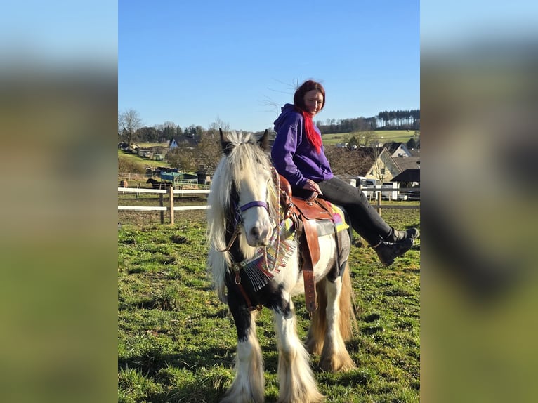 Cob Irlandese / Tinker / Gypsy Vanner Giumenta 11 Anni 140 cm Pezzato in Linkenbach