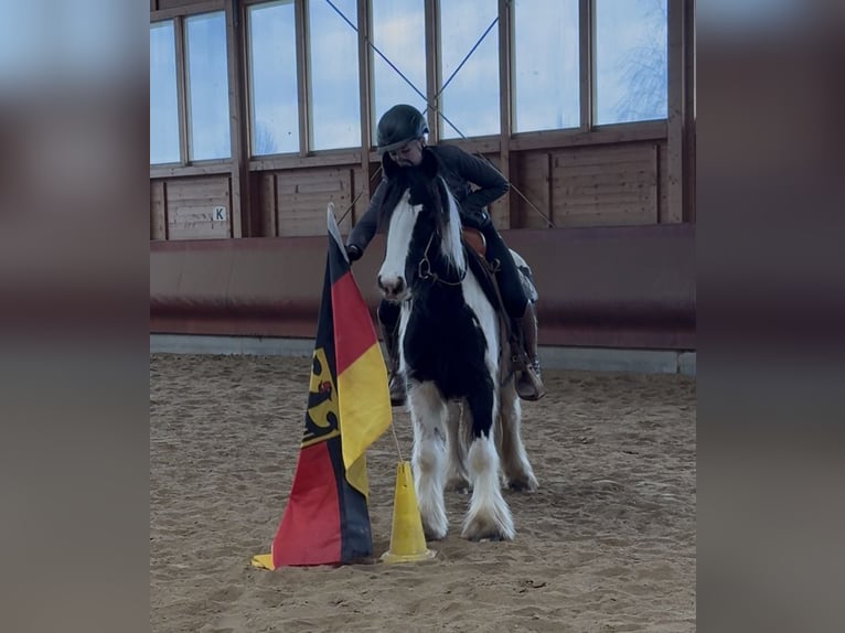 Cob Irlandese / Tinker / Gypsy Vanner Giumenta 4 Anni 143 cm Pezzato in Achstetten