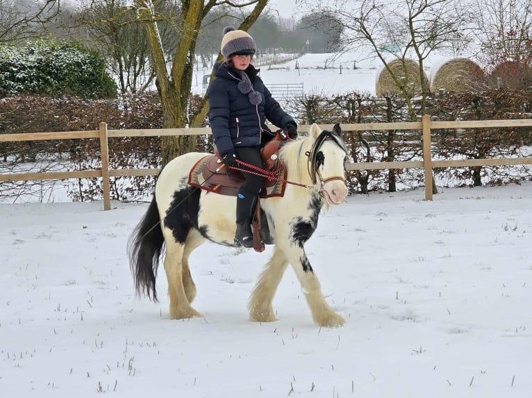 Cob Irlandese / Tinker / Gypsy Vanner Giumenta 5 Anni 135 cm Pezzato in Linkenbach