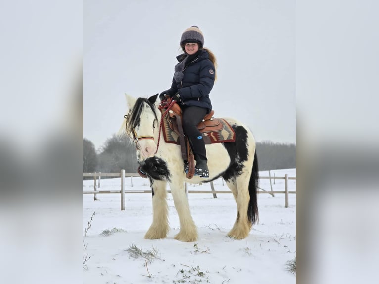 Cob Irlandese / Tinker / Gypsy Vanner Giumenta 5 Anni 135 cm Pezzato in Linkenbach