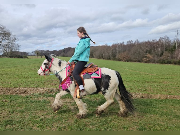 Cob Irlandese / Tinker / Gypsy Vanner Giumenta 5 Anni 135 cm Pezzato in Linkenbach