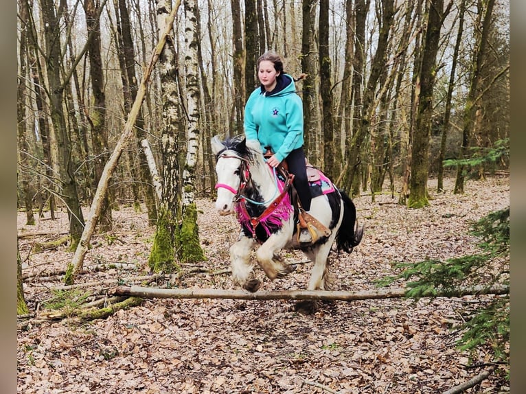 Cob Irlandese / Tinker / Gypsy Vanner Giumenta 5 Anni 135 cm Pezzato in Linkenbach