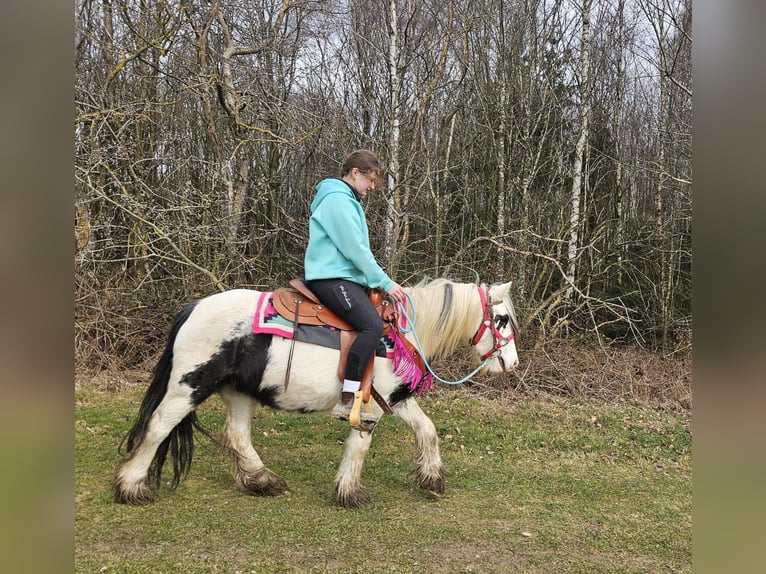 Cob Irlandese / Tinker / Gypsy Vanner Giumenta 5 Anni 135 cm Pezzato in Linkenbach