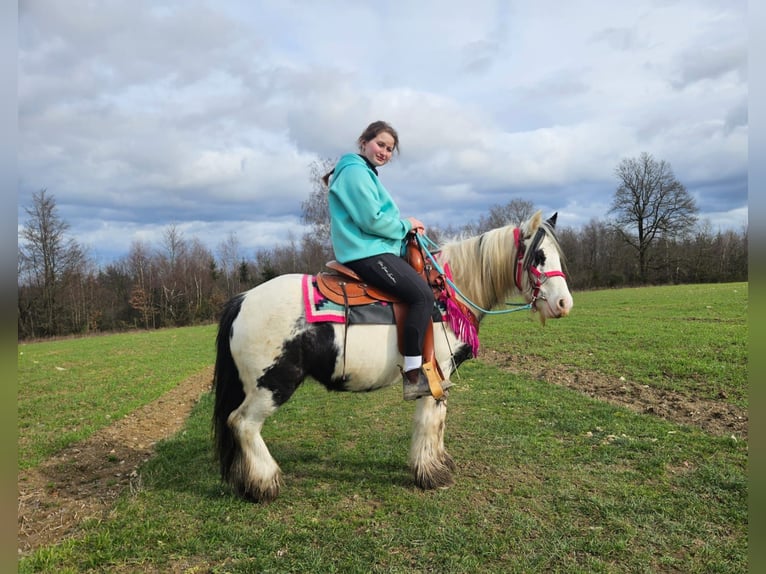 Cob Irlandese / Tinker / Gypsy Vanner Giumenta 5 Anni 135 cm Pezzato in Linkenbach