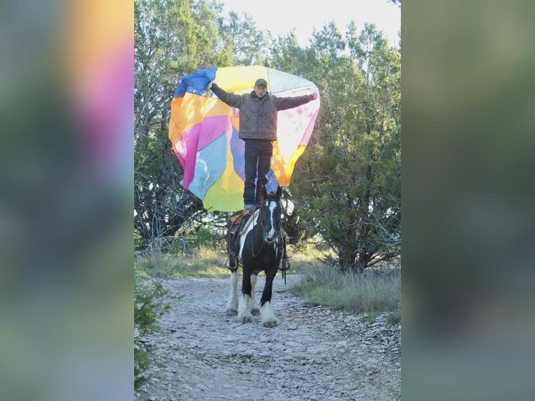 Cob Irlandese / Tinker / Gypsy Vanner Giumenta 5 Anni 140 cm Pezzato in Dublin