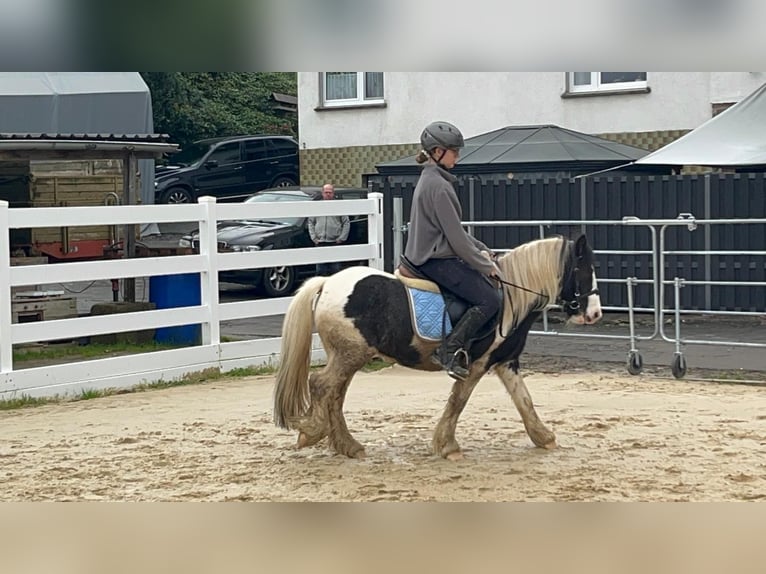 Cob Merrie 4 Jaar 121 cm Gevlekt-paard in Morsbach