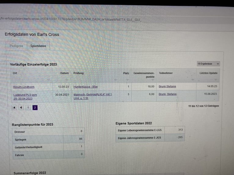 Connemara Caballo castrado 13 años 148 cm Tordillo negro in Süderlügum