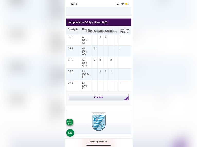 Connemara Croisé Hongre 11 Ans 157 cm Alezan brûlé in Aschaffenburg