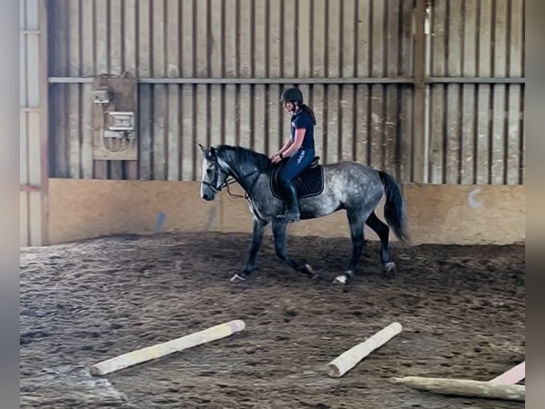 Connemara Ruin 4 Jaar Schimmel in Sligo